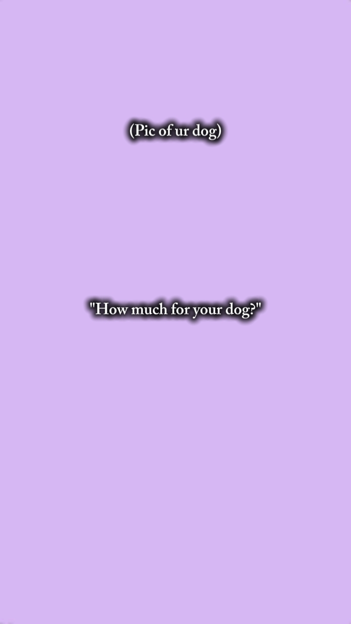 Wie viel 4 ur Hund 