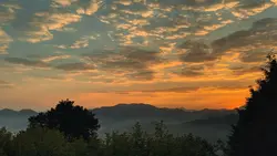 landscape 1 video