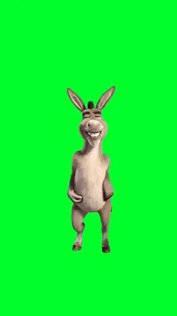 Donkey dancing