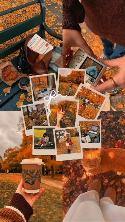 Wallpaper life fall