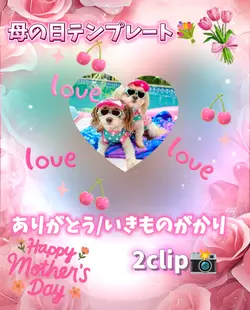 母の日/ありがとう/2clip
