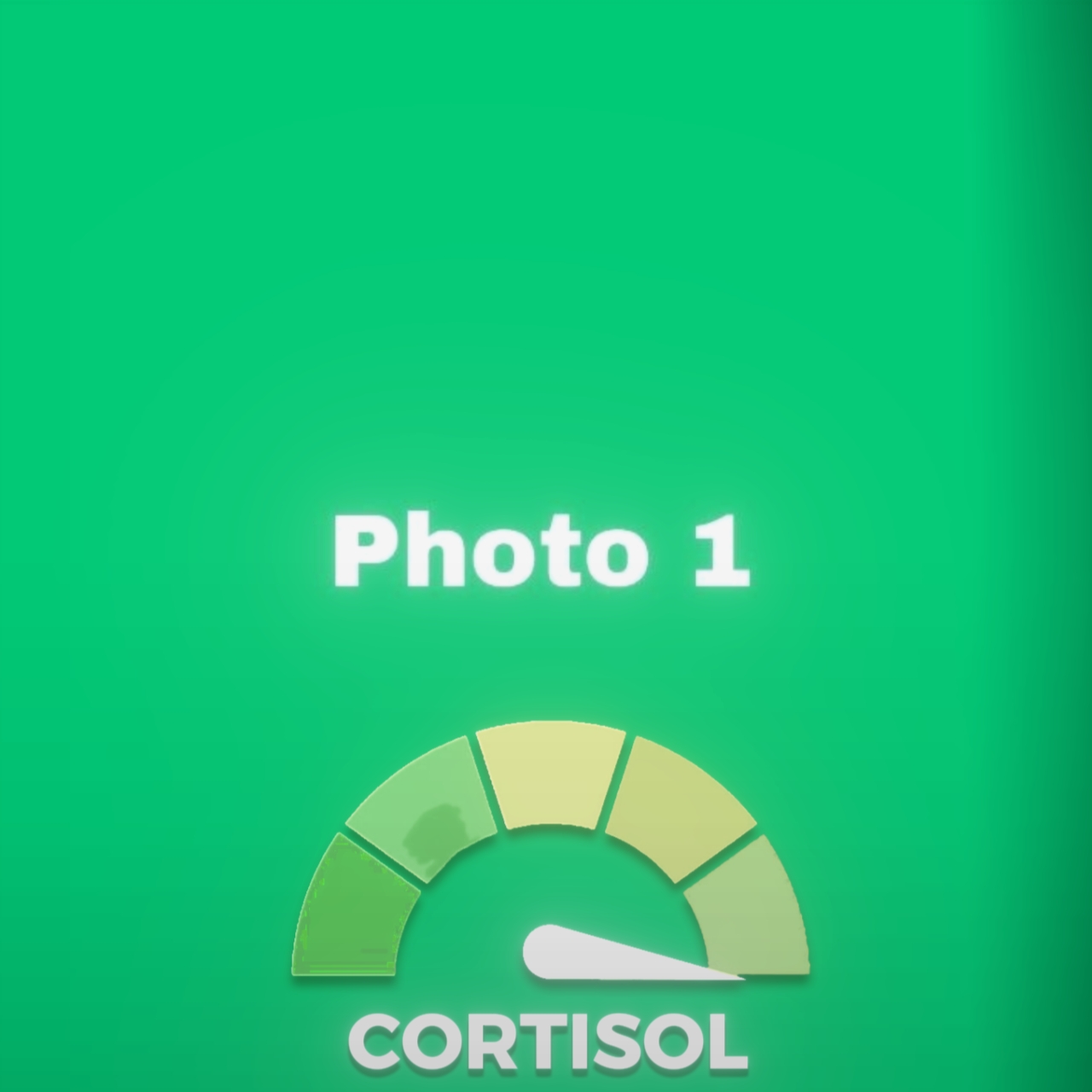 Nueva plantilla