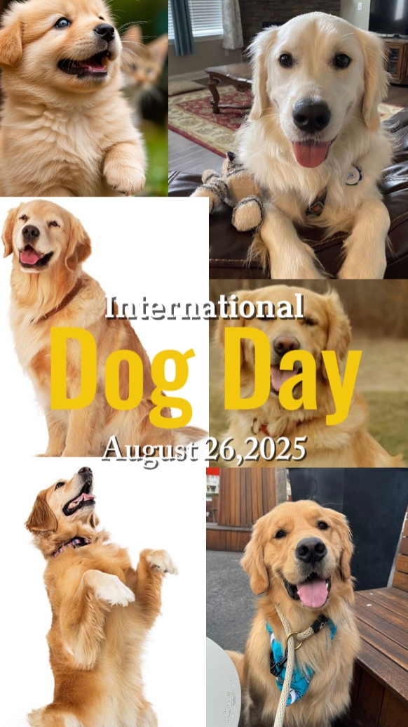 Dia Internacional do Cachorro