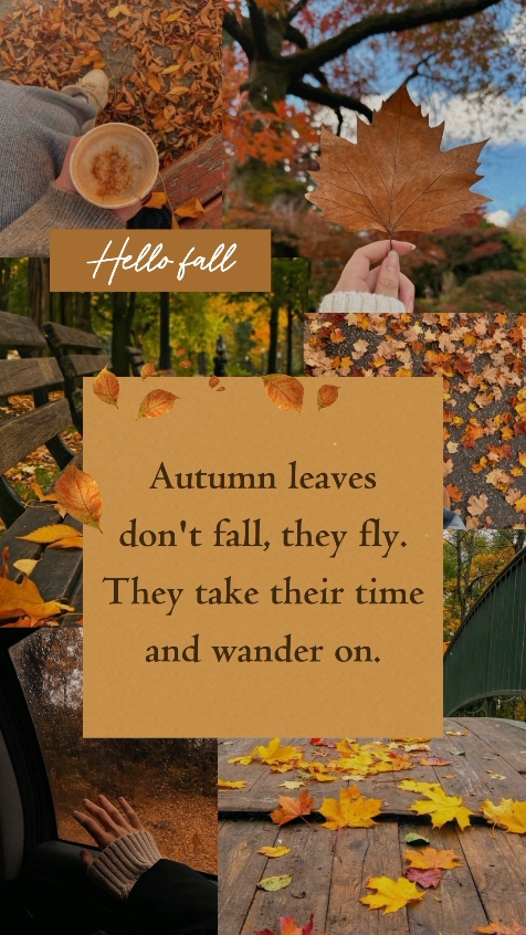 Autumn Quote
