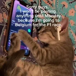 F1 Race