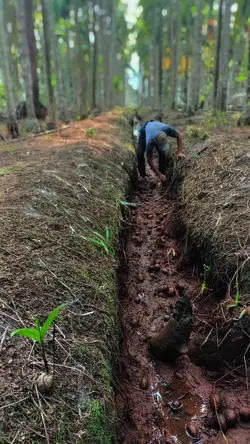petani muda 
