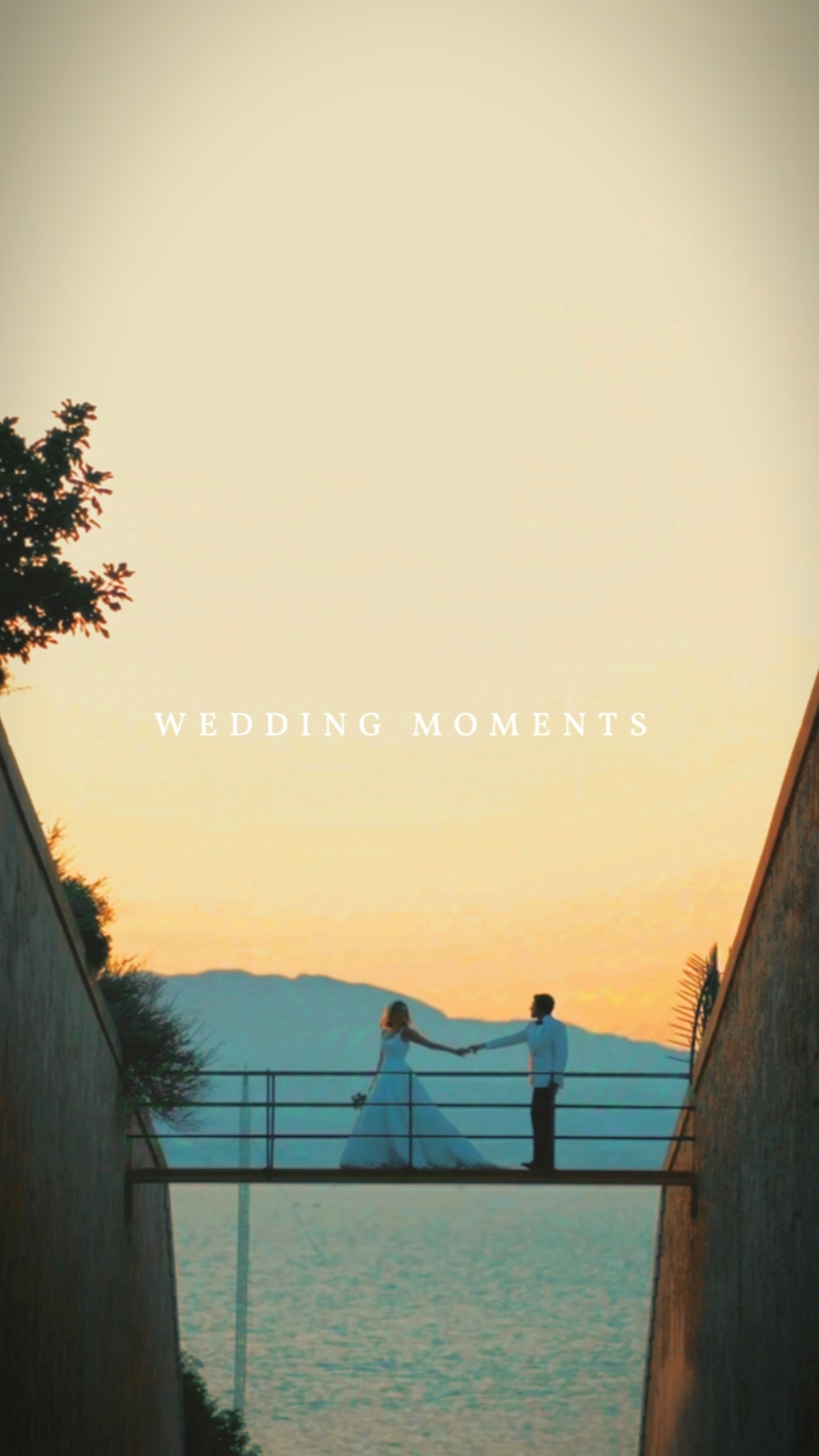 Moments de mariage 