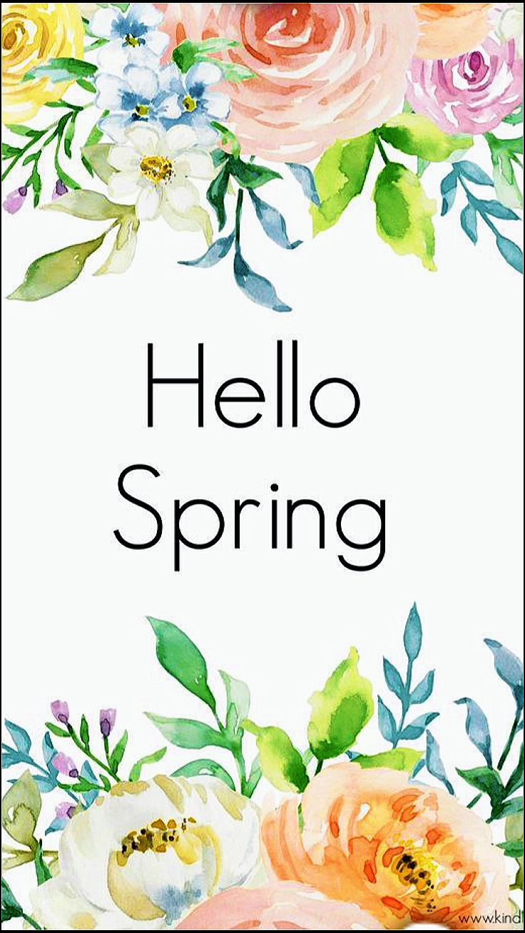 HELLO SPRING 2026