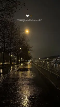 Gittiğinde ilkbahrdi