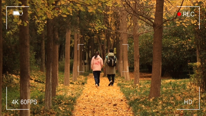 9. Vlog autumn