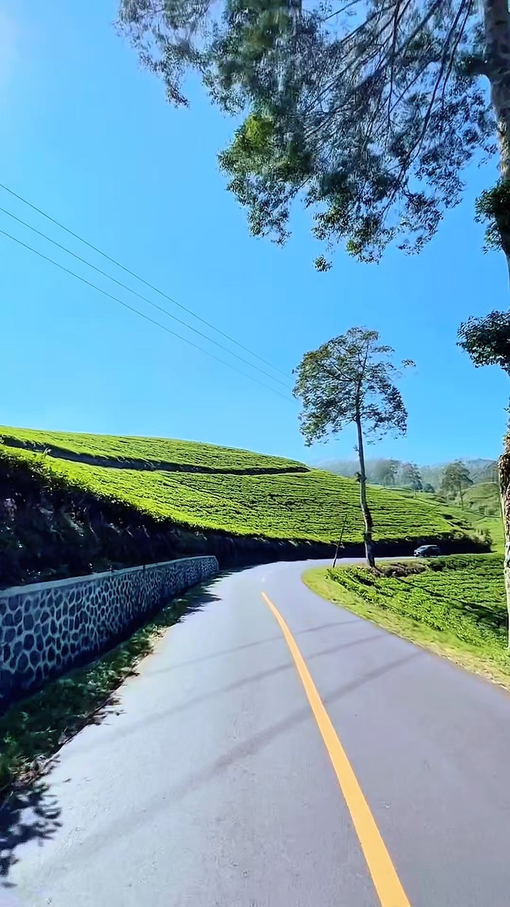 4 roadtrip vidéo
