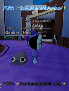 ASTRO DAN PEBBLE 