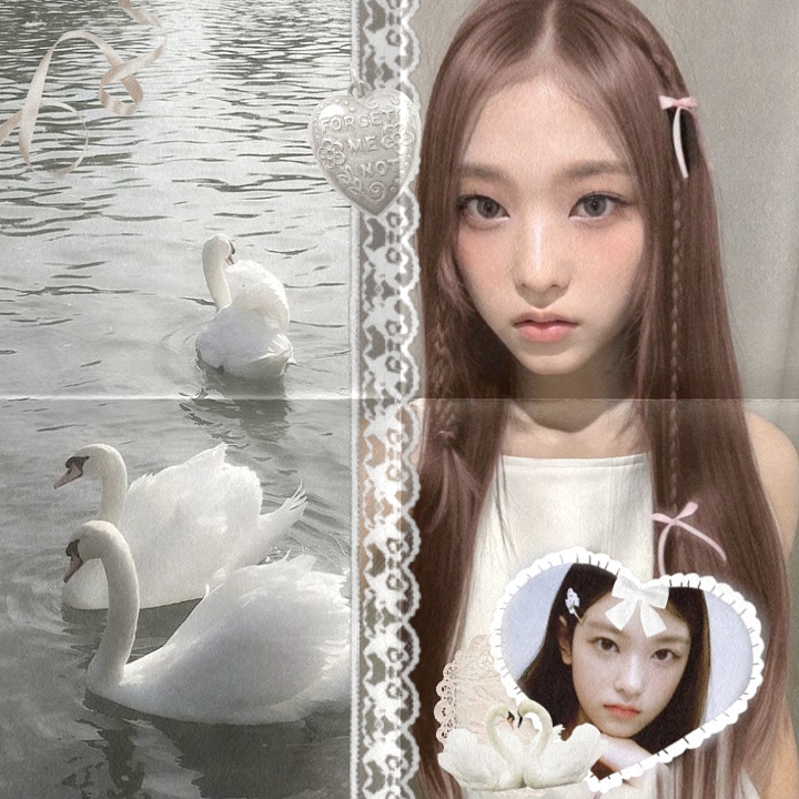 white swan 