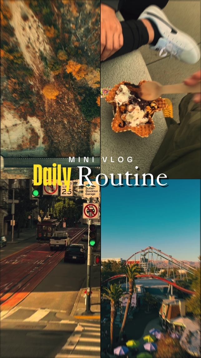 Daily Routine