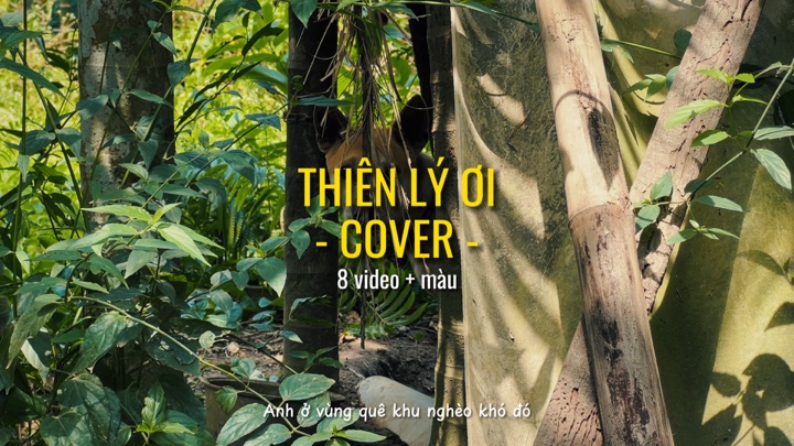 Thiên lý ơi cover