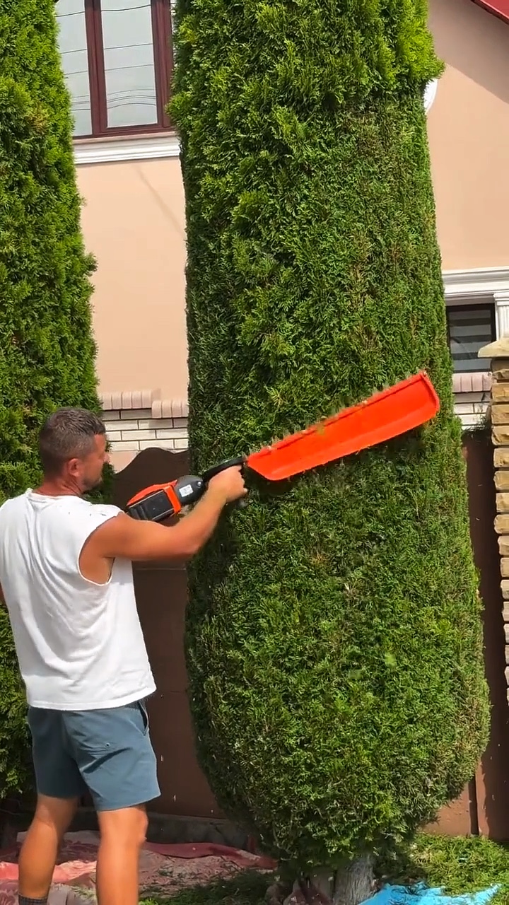 Gardening