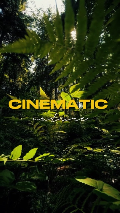 cinematic 