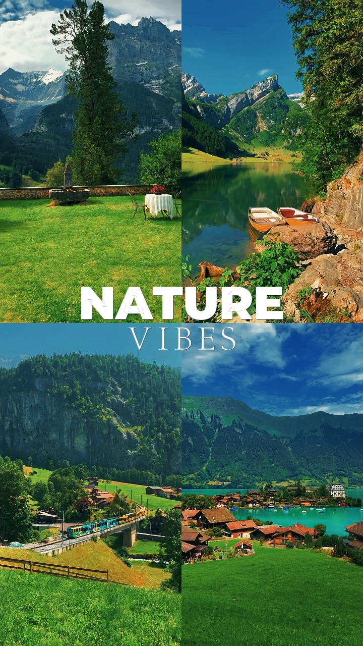 NATURE VIBES