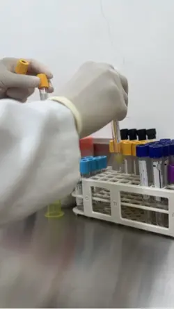 Laboratório