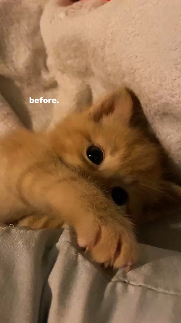 Antes Después