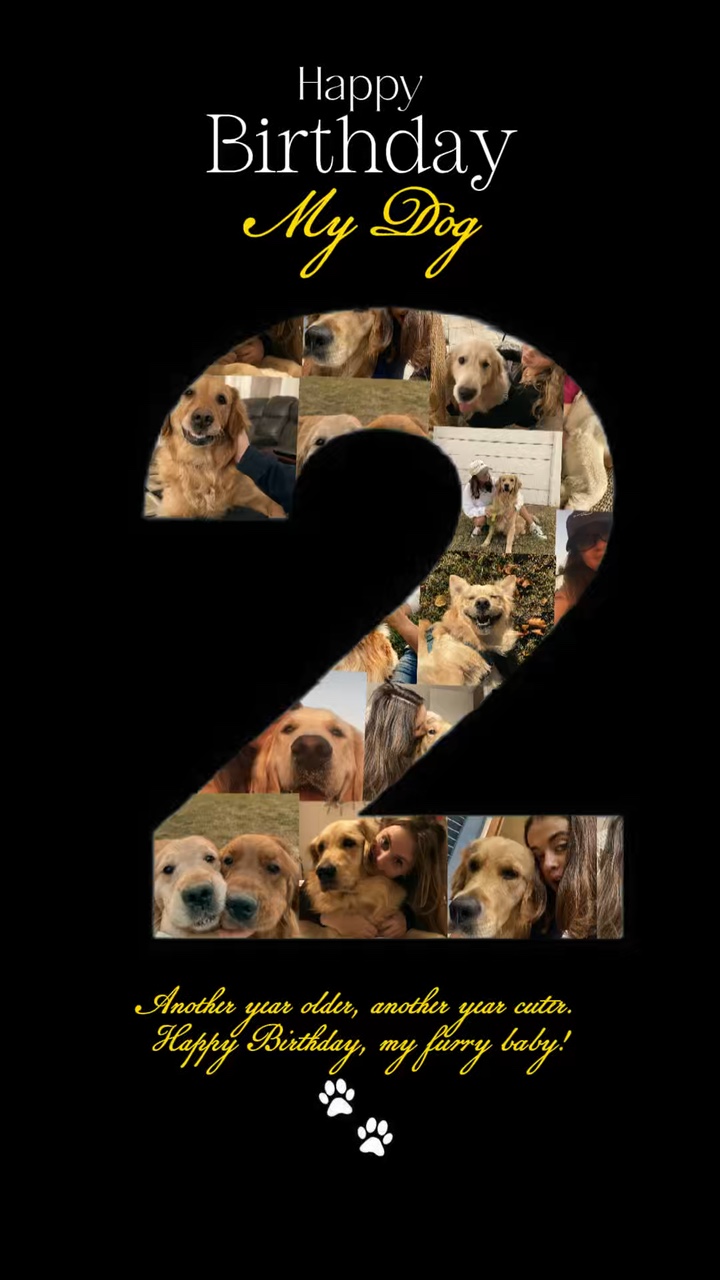 HBD my dog 
