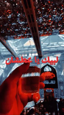 يا حبيبي يا حسين