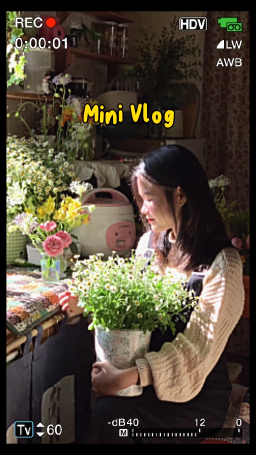Mini Vlog