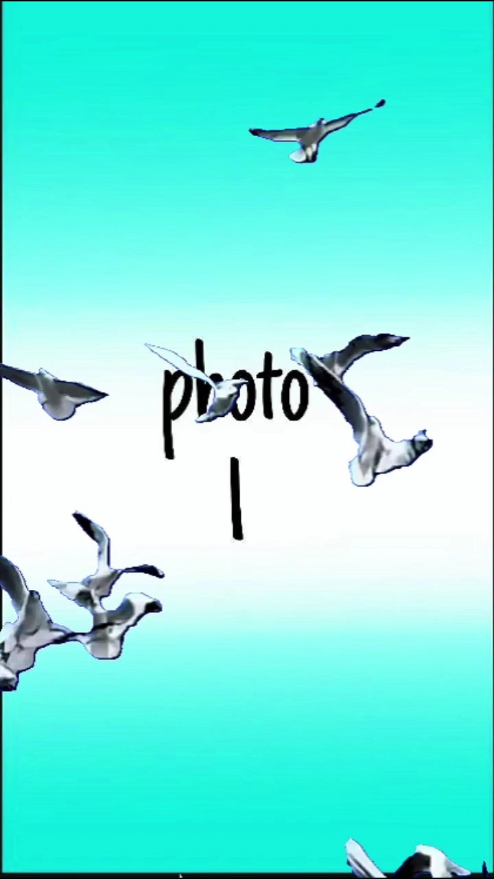GOTA THE EDIT 