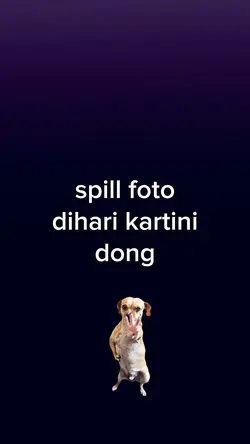 Spill Foto Dihari