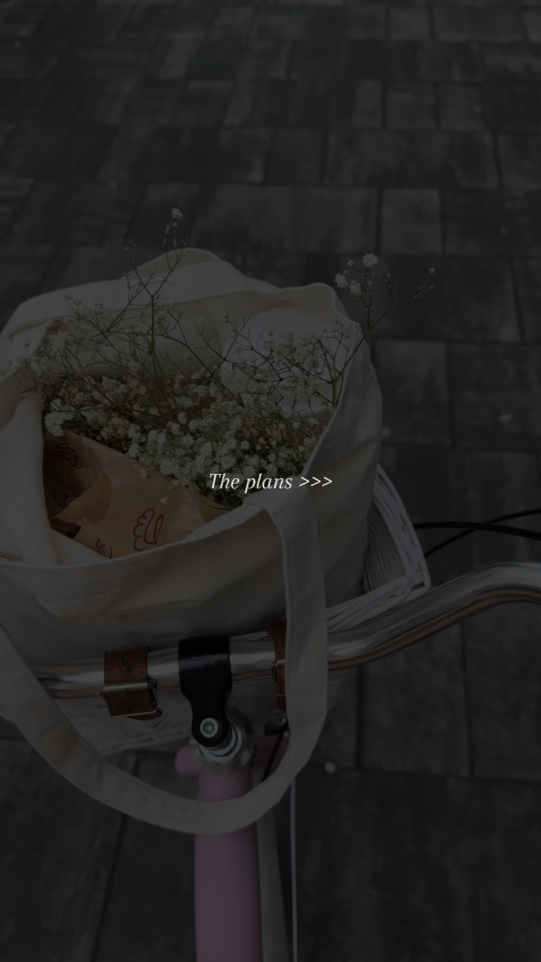 TRAVEL VLOG PLAN