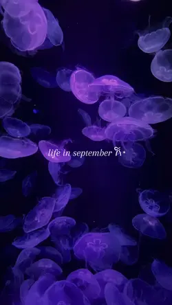 life in september