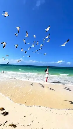 Aesthetic 