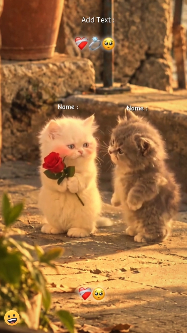 Escreva seu nome 