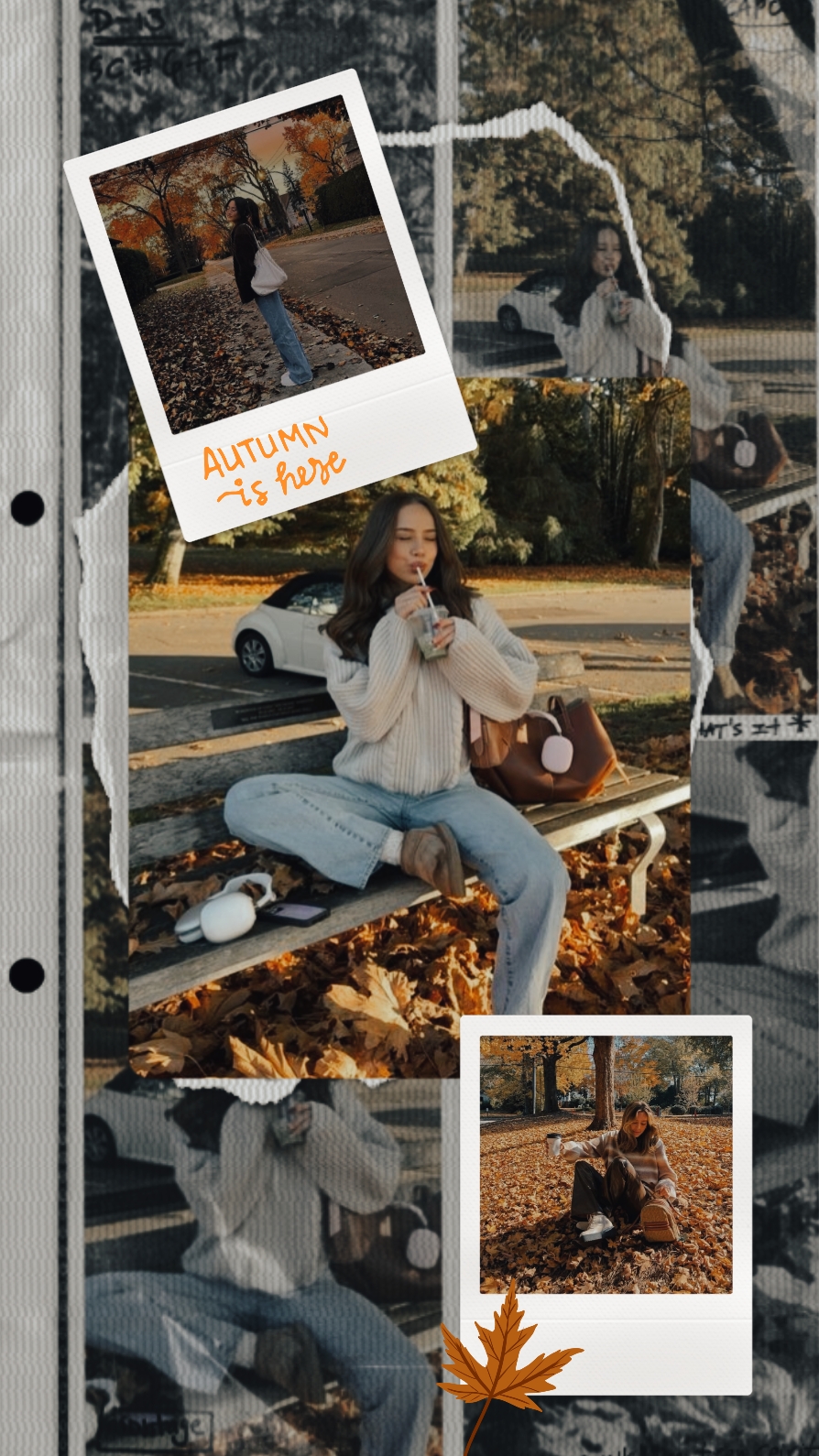 Autumn vibes