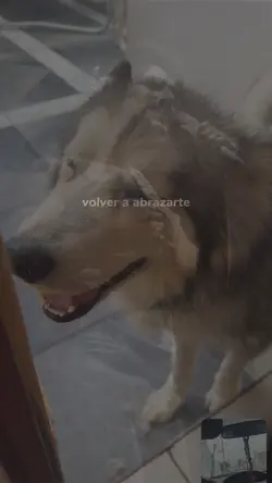 volver a abrazarte 