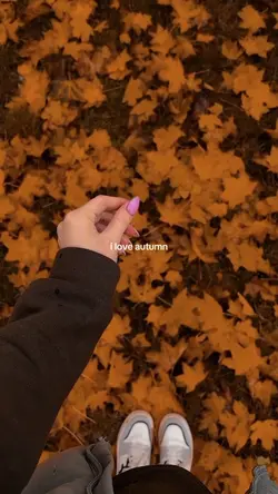 i love autumn i just