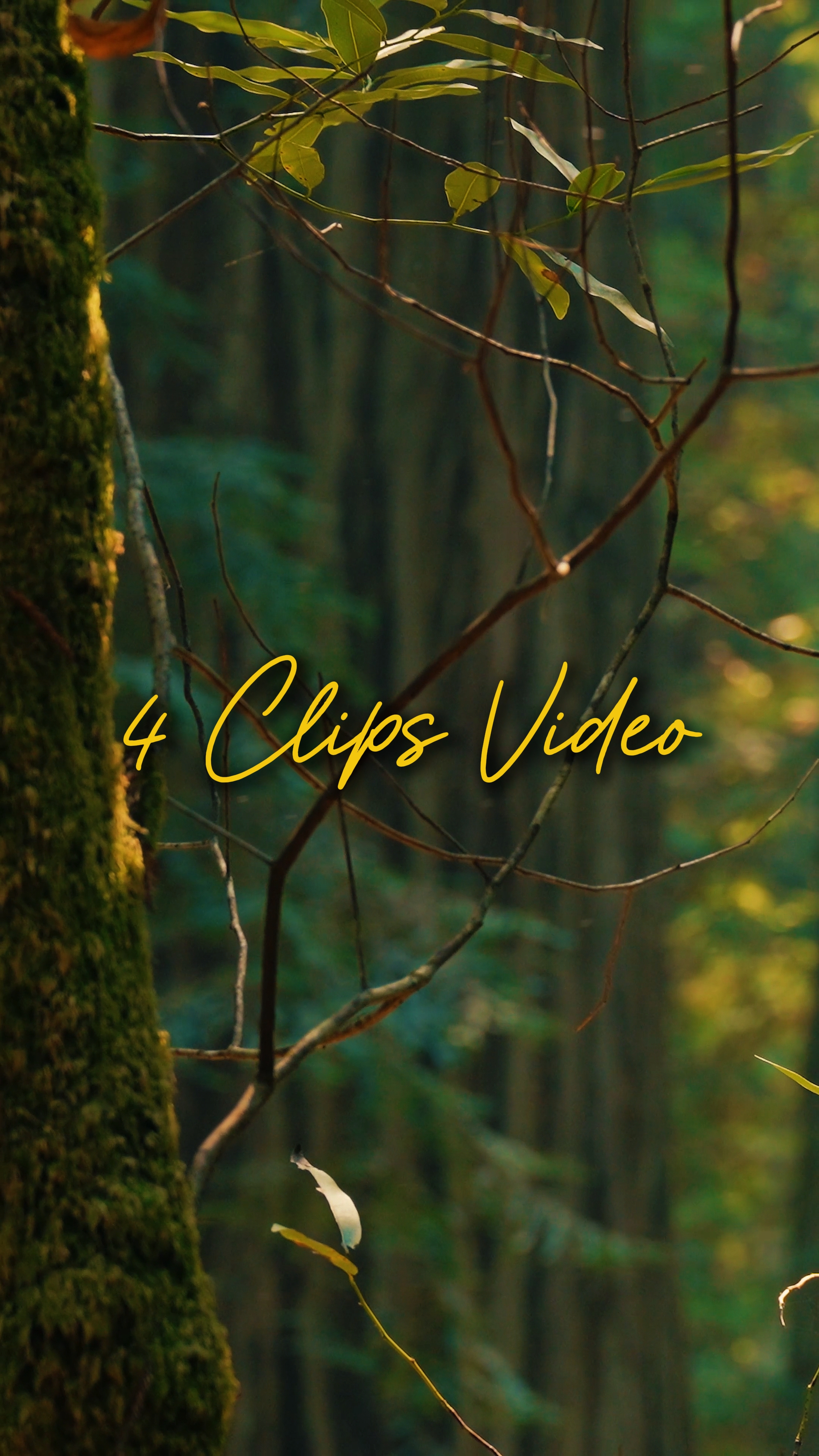 Cinematic 4 Video