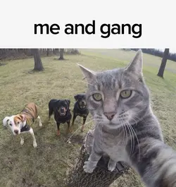 Me and gang