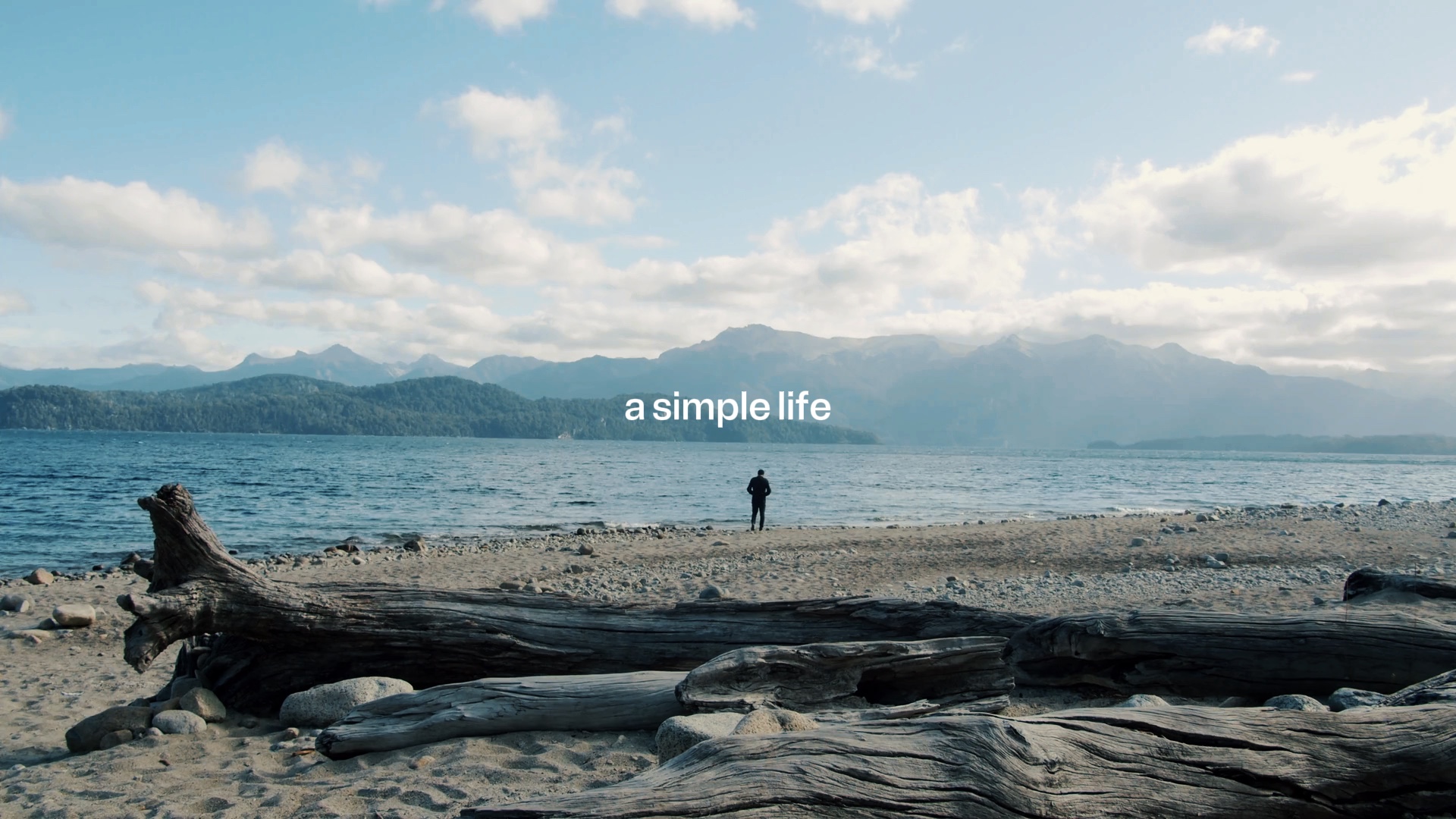 Une vie simple