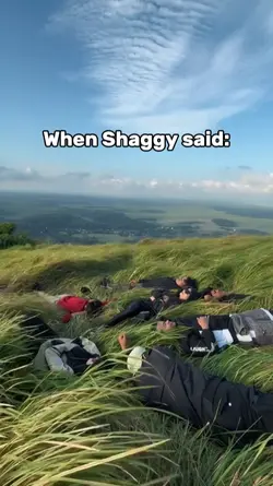 Shaggy said