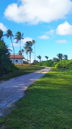 ISLAND!