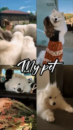 My pet