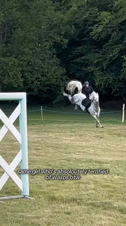Funny horse trend‼️AI