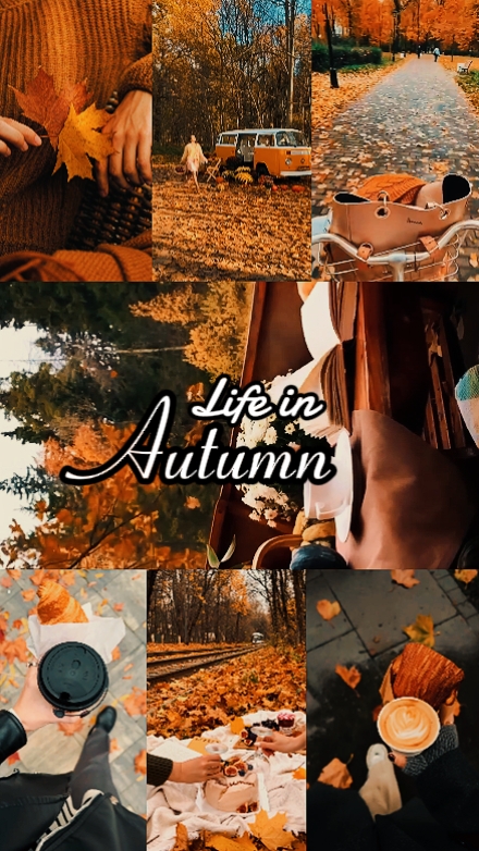 life in autumn 