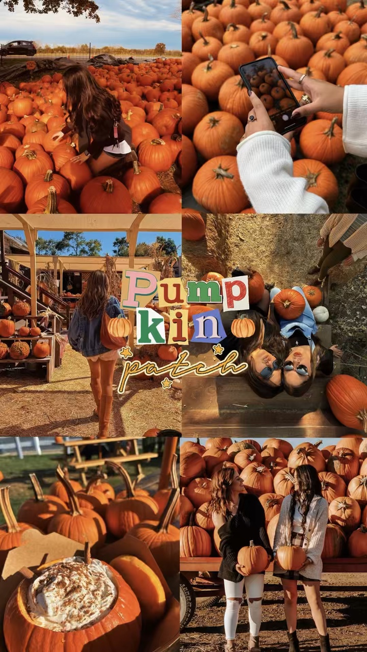 Volcado De Parche De Calabaza