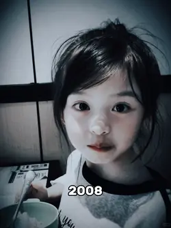 2008 vs 2026