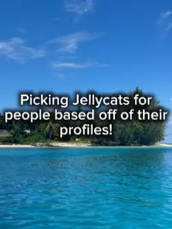 Jellycats!