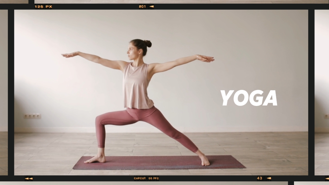 Introducción De Fitness