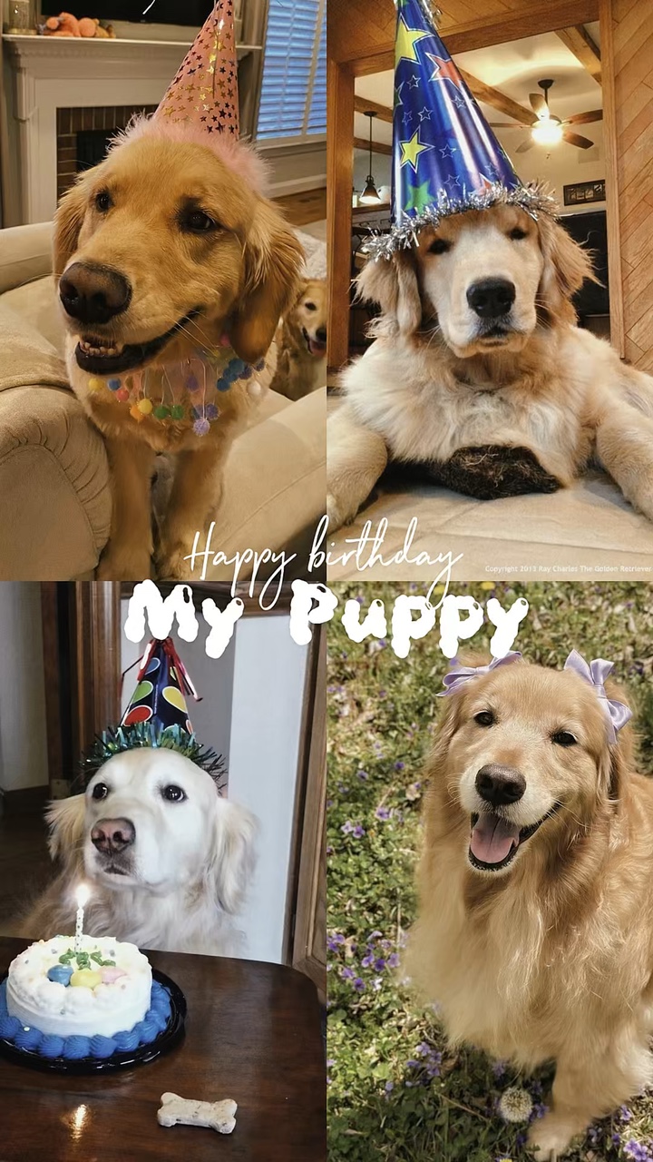 生日我的小狗 🐶 