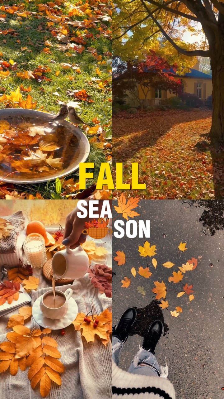 Fall season 